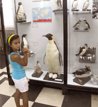 Как се гради музей  с 1,5 млн. експоната