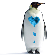 Антарктида – екоконтинент