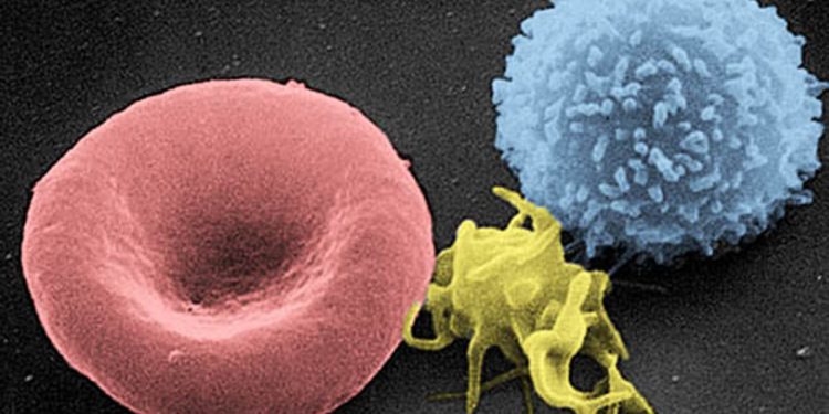 Гладът за кислород с Нобелова награда