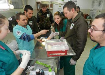 Мисия – икономика на знанието