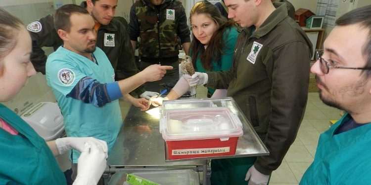 Мисия – икономика на знанието