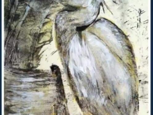 Силата и красотата на водата