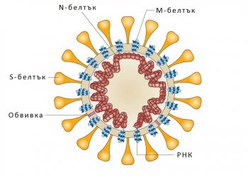 По пътя  на изцелението
