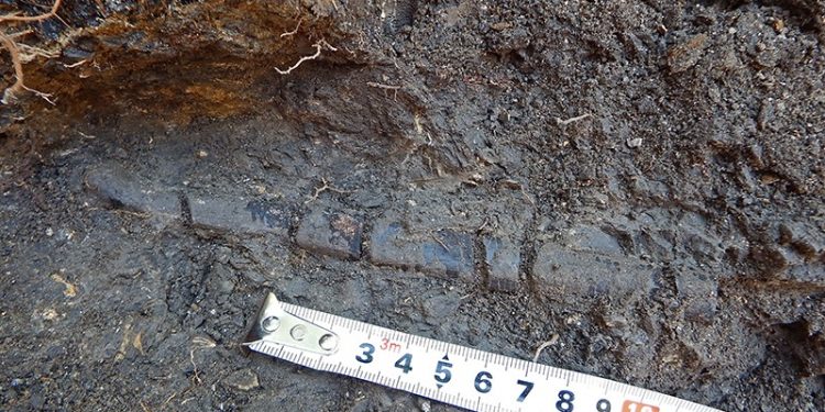 Трънският „Джурасик парк“