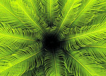 Ера на изчезване