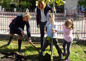 Правят зелен пояс в 26 столични школa’