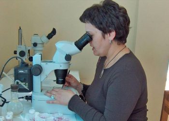 Национални научноиновационни комплекси