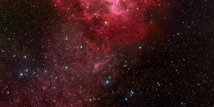 С името на розата