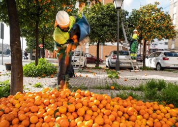 Ток от… портокали