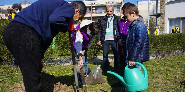 Русенски деца засадиха над 80 дръвчета