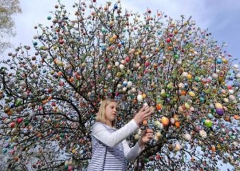 Червени, жълти, зелени…