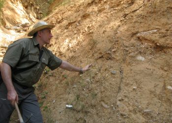 Грекопитекът  е първият предчовек