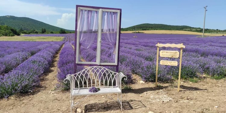 90 000 деца в изяви по интереси