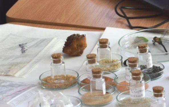 Мисия „Пясък“