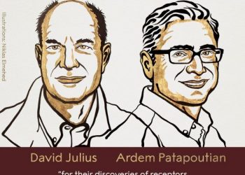 Нобелови  награди 2021