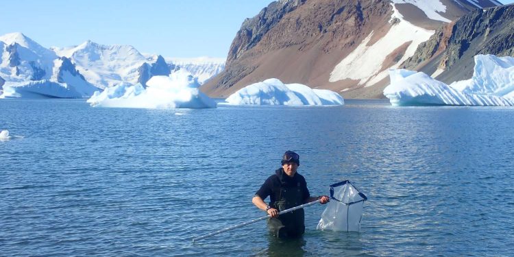 Ледена риба и антарктически червей в Природонаучния музей