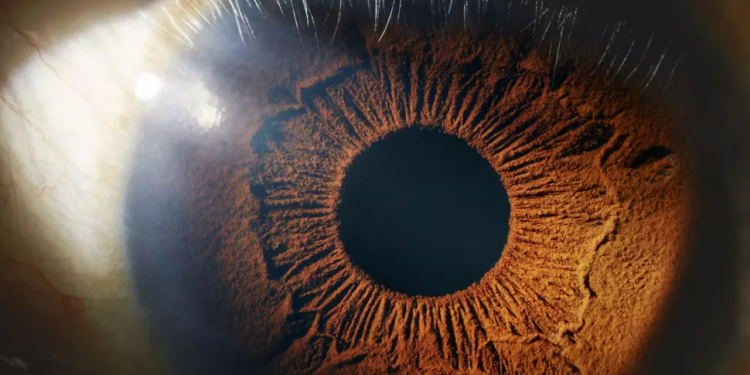 Очите разкриват биологичната възраст