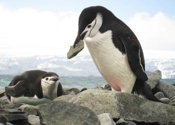 Нова лаборатория строим на Антарктида