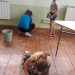 Лятото – време за игри и за ремонти