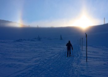 Антропогенната екологична катастрофа*