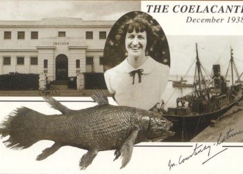 Молекулният часовник  на еволюцията