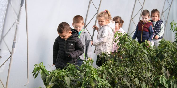 Биоградина храни 750 деца в Троян