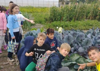 Уроци на открито през всички сезони