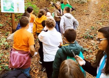 Да видиш природата през очите на пчелите