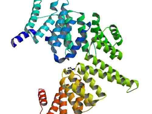 Изкуствен интелект създава протеини, убиващи бактерии