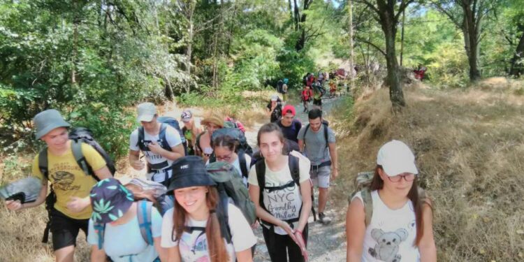 Предлагат две нови национални програми