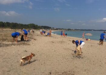 Идеи за чиста природа