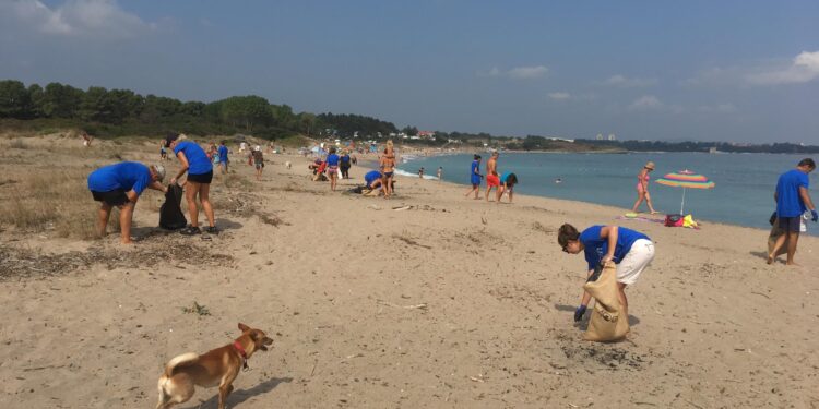 Идеи за чиста природа