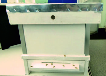 Да запазим пчелите