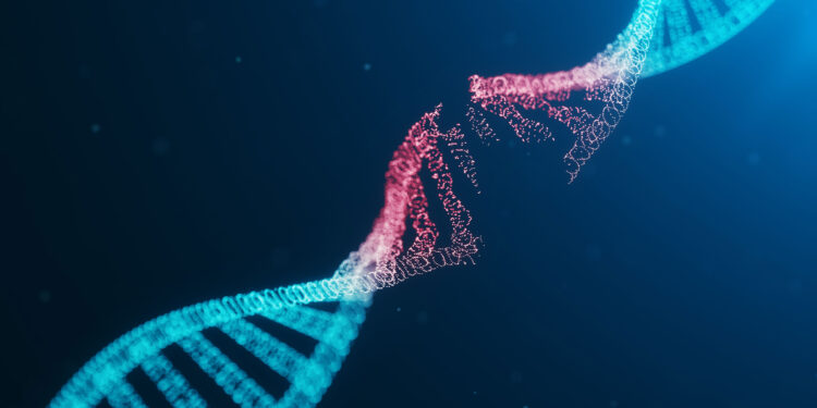 Изкуствен подсладител може да разруши ДНК