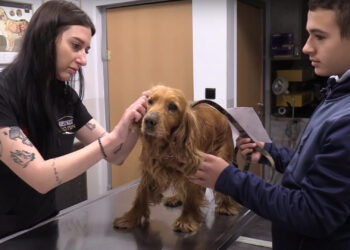 Грижа за приятели