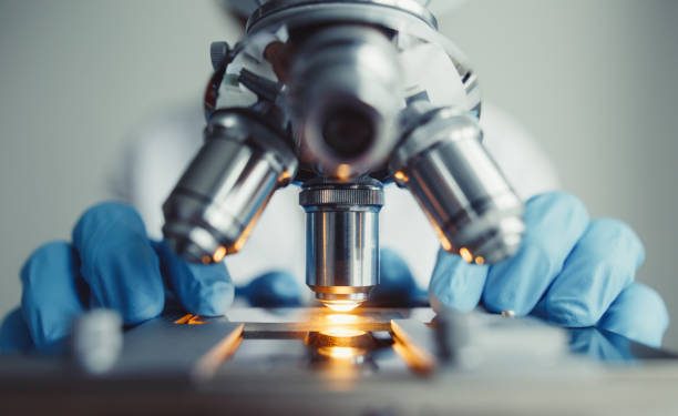 Още над 12 млн. лв. за защитени специалности