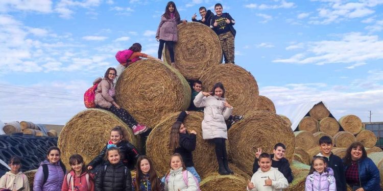 Любимата работа носи свобода