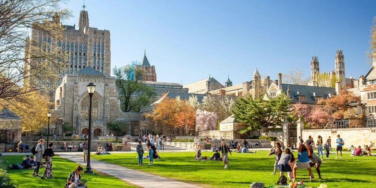 Държавата ще плаща обучение в топ университети