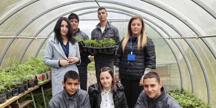 Ученици от Селскостопанската гимназия в Кюстендил произвеждат хиляди цветя
