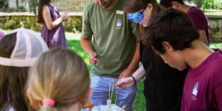 Вселена от идеи