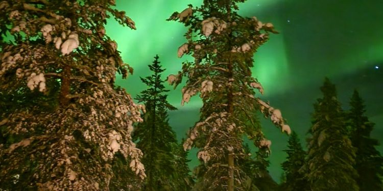 Tворчество: Есета от национален конкурс „Физиката в моя свят“