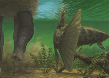 Първи находки на панцерни щуки у нас