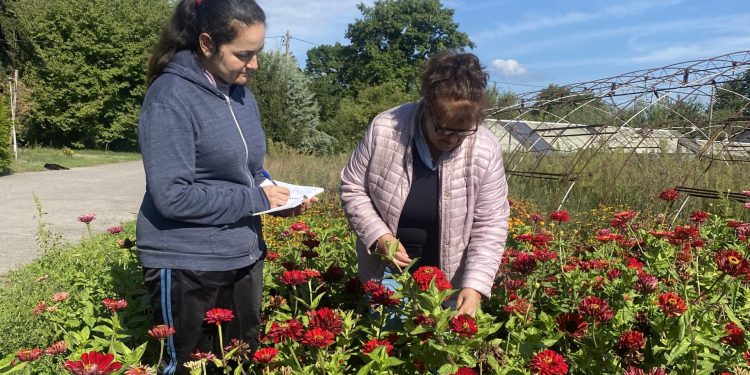 Цветята са храна за душата