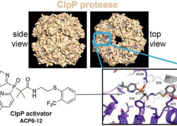 Нов антибиотик срещу бактериите
