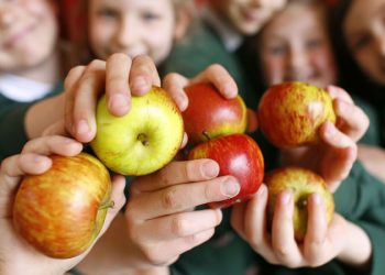 Повече пълнозърнести храни в ученическия стол