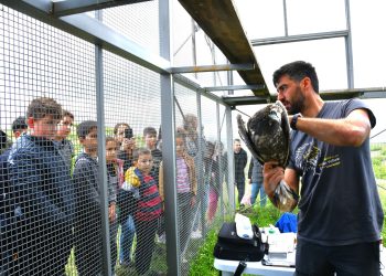 Училище за… лешояди