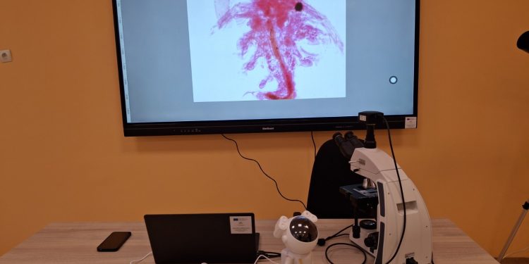 СУ „Васил Левски“ в Чирпан съчетава STEM среда и модерна спортна база