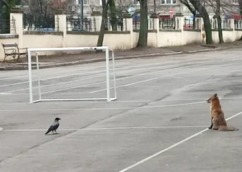 Животните са много пластични и се приспособяват лесно към човешката среда, казва проф. Николай Спасов от Природонаучния музей